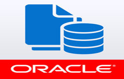 Oracle数据库管理工具有哪些?-北京K8线上平台,K8（中国）公司